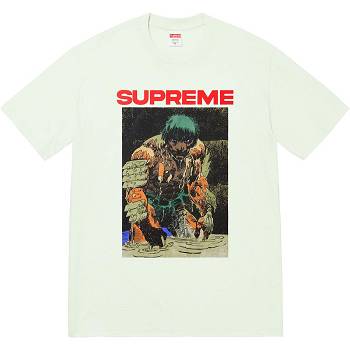 Camiseta Supreme Ronin Tee Verde Menta | Supreme 393JJ